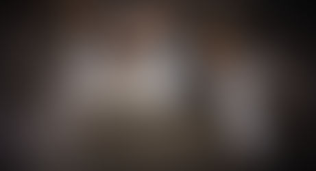 Mighty Mushrooms: Boosting Your Dog's Health Against Cancer!