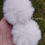Miniatura: PARZINHO POMPOM P ELÁSTICO/BICO DE PATO