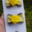 Miniatura: PARZINHO PESPONTADO COM FLOR