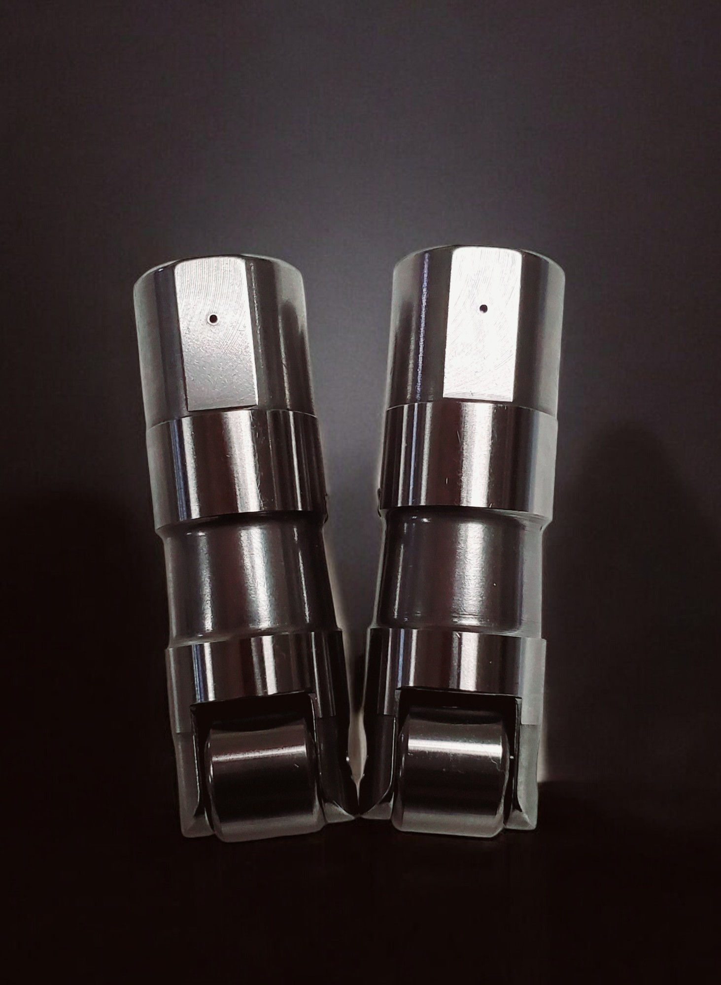 07-17 Twin Cams CR202 Lifters