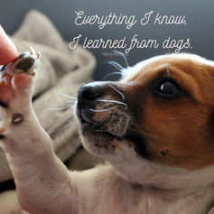 Dog Quote.png