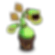 Mystery