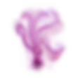 Mystery