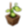 Mammott