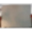 Mammott