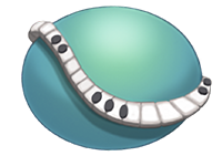 Mystery egg crop.png