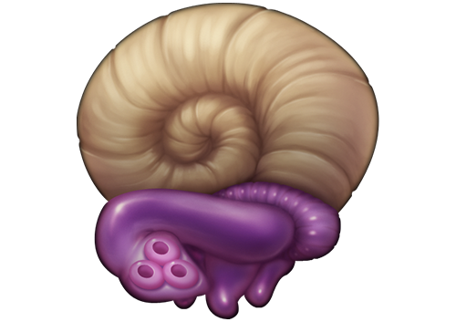 Mystery egg crop.png