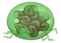 Mystery egg crop.png