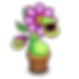 Mystery