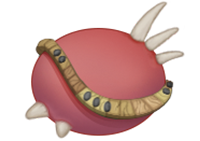 Mystery egg crop.png