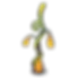 Mystery