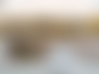 5 Things to Do Near Riverview Centre for Out-of-Town Guests