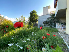 Terrasse Sittelle Ascenseur Coqulicot.JPEG