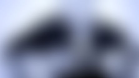 Come ti sei permesso di Marco Sciarretta