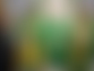 dieci Anni di Congregazione Guanelliana a Pforzheim