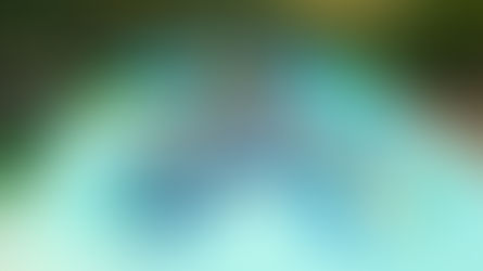 a Zoomarine per la Giornata Mondiale degli Oceani