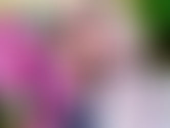 Superstars di Eva e Sabrina Salerno icona della dance music