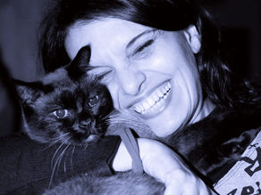 Mi fa un baffo il gatto nero festival premi in rassegna