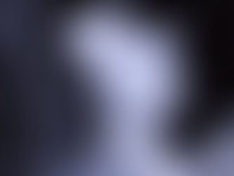 Mi fa un baffo il gatto nero festival premi in rassegna