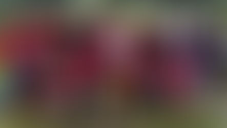 vince il primo Torneo Triangolare di Calcio il Club Milan Franco Baresi Pforzheim