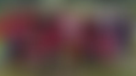 vince il primo Torneo Triangolare di Calcio il Club Milan Franco Baresi Pforzheim