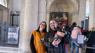 Dogs e Museum Road Show in tour