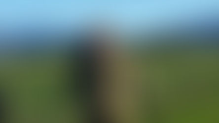 BELINDA A’BELL - FLOURISHING BLOOM PSYCHOLOGY