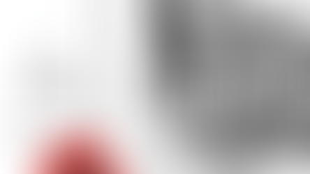 MEET ILLUSTRATOR JAN PURCELL