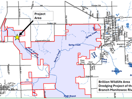 Evers announces new wetland project in Brillion