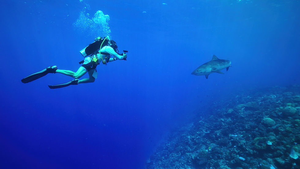 Brillion native Chris Malinowski during filming for the Netflix series "All the Sharks." The show is available to stream on Netflix. (Photo courtesy of Netflix)