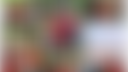 Seema Singh through her NGO ‘Meghashrey’ successfully organised a blanket donation campaign