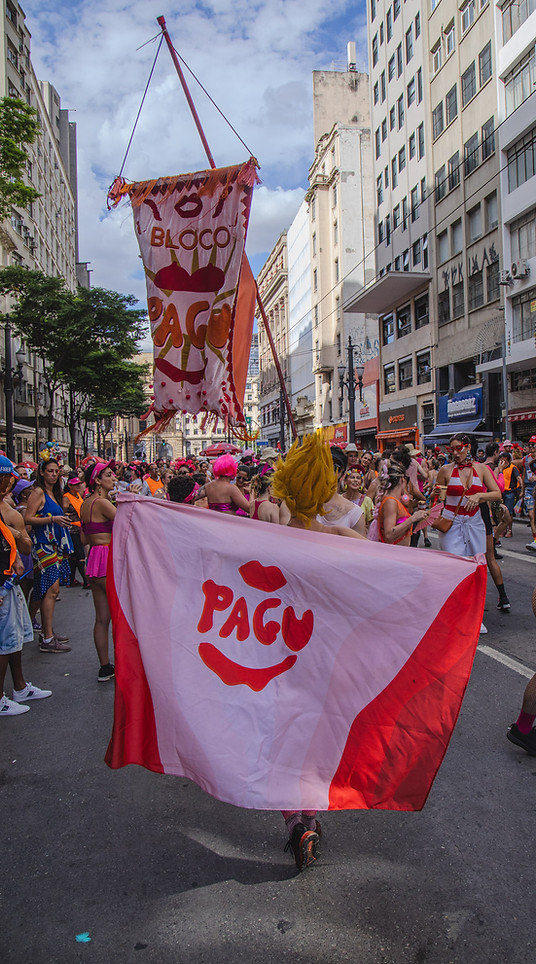 Bloco Pagu e After Pagu 13-02-24-820.jpg