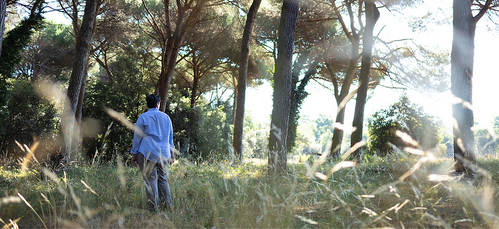 Nell'immagine c'è Roberta, in un bosco, immobile mentre percepisce tutta l'energia della natura