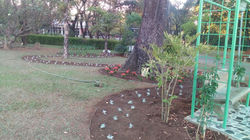 Jardim em construção...