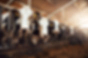 Beef Processor: Rebuilt a Fragmented, Overpriced Program and Saved ~$3M