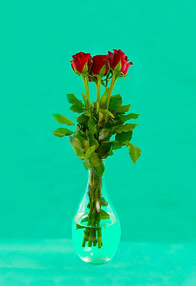 お花.jpg