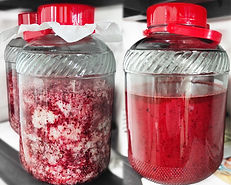 Fermentation process in glass jars