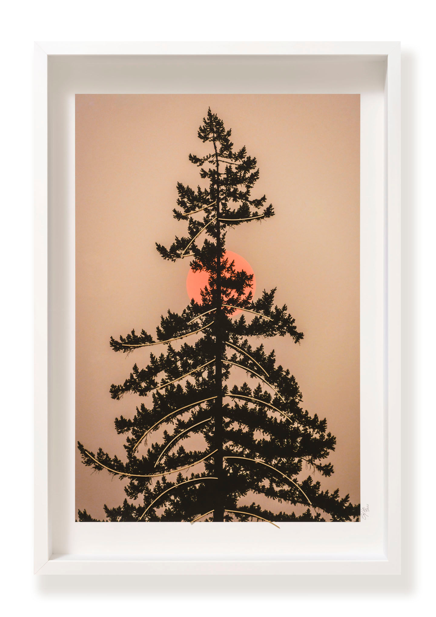 "Ossature orientale", 2021.