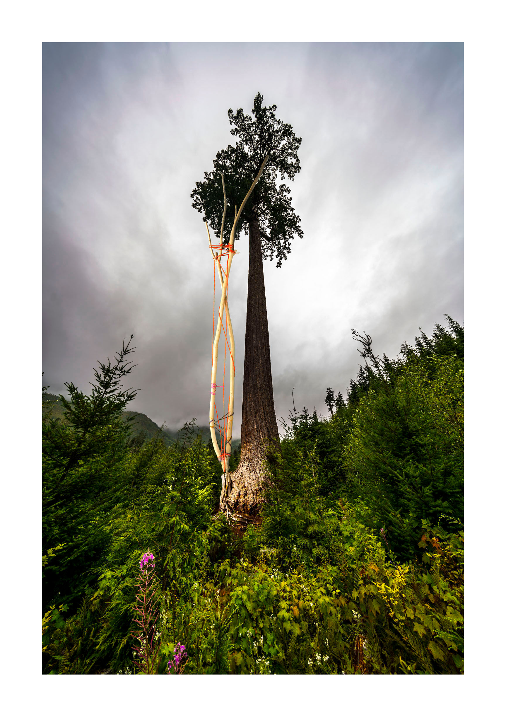 TRANSCENDANCE #7, V1, 2021.