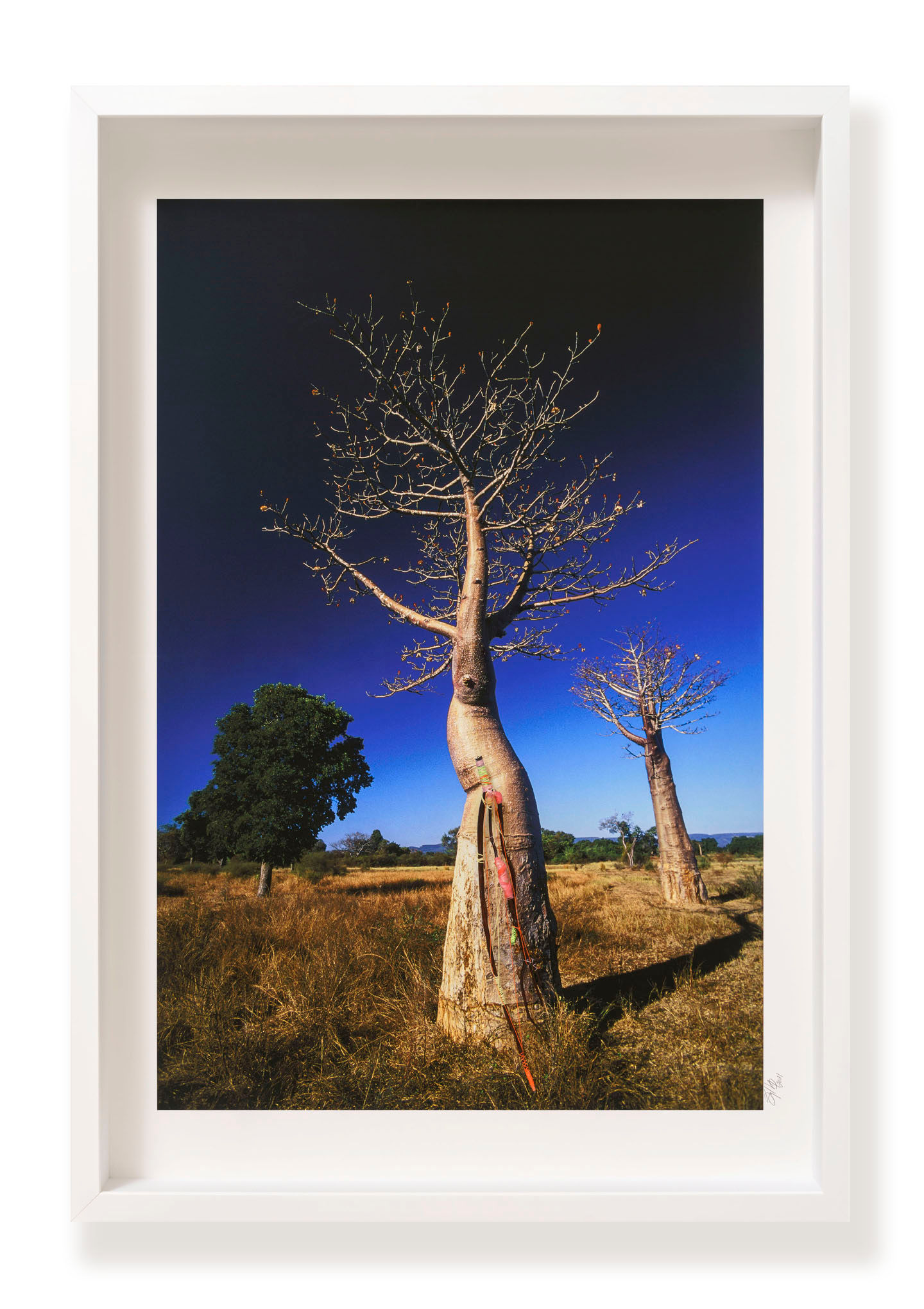 "Danse africaine", 2021.