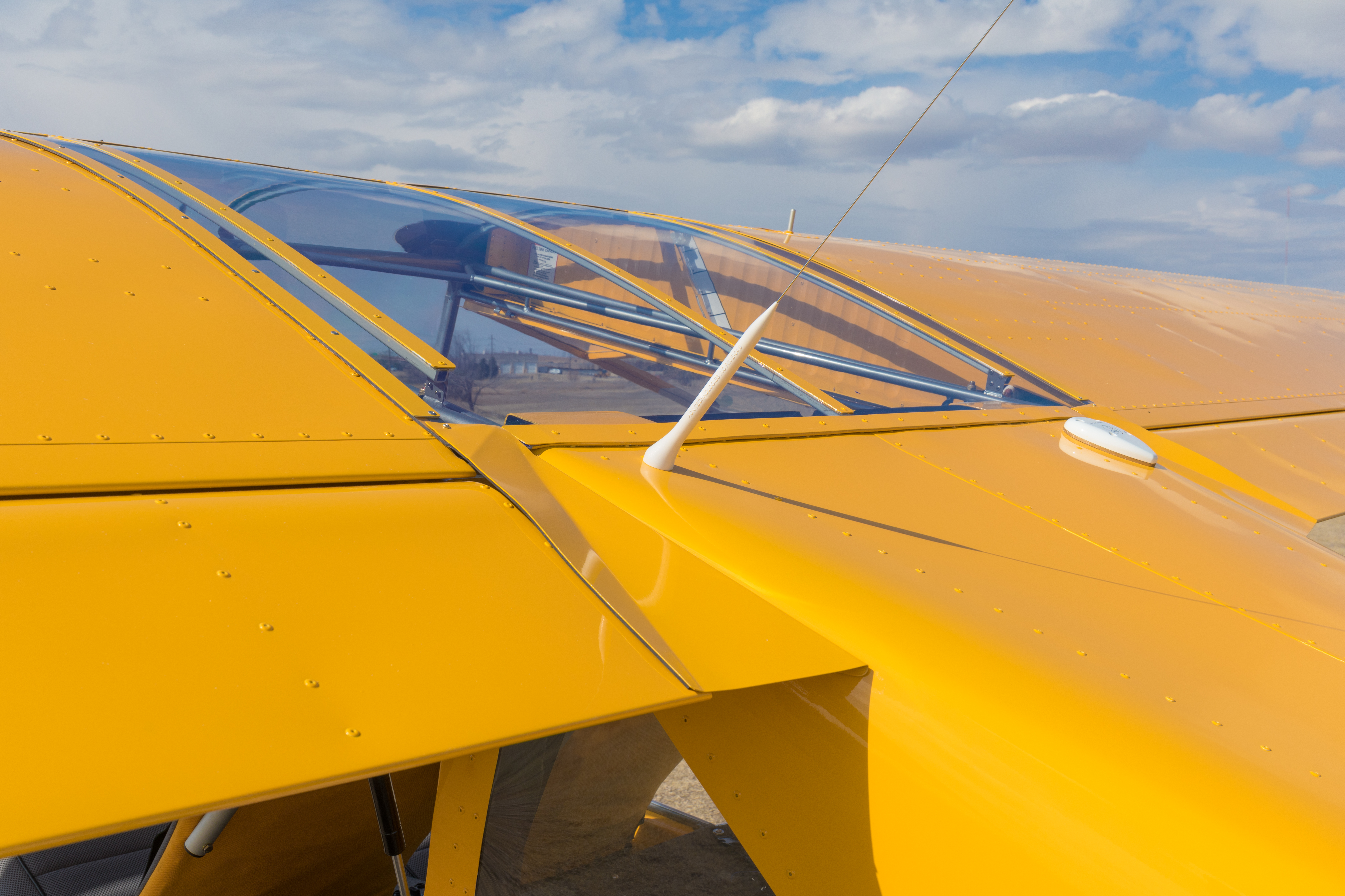 PAINT SCHEME OPTIONS