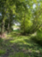 Draag, vertraag en ont-moet