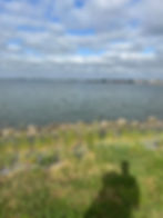 Draag, vertraag en ont-moet