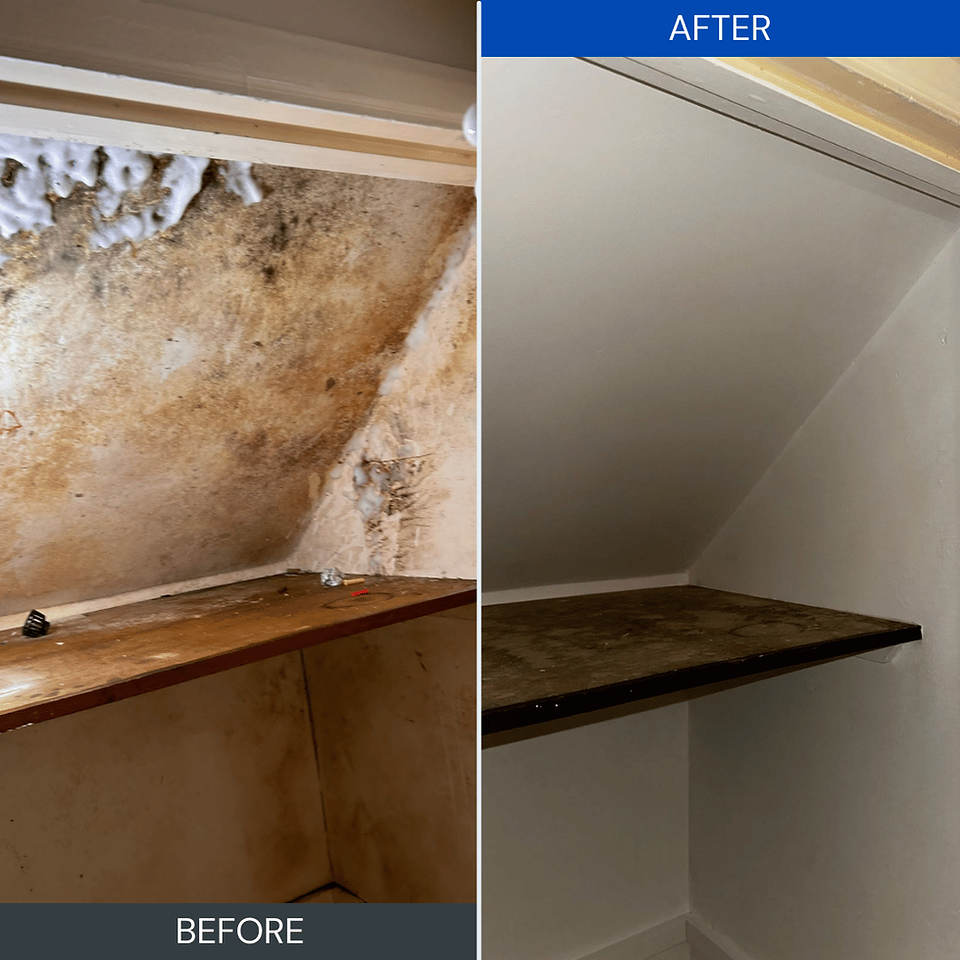 Before and after of mould growth remediated – Awaab’s Law damp and mould compliance.