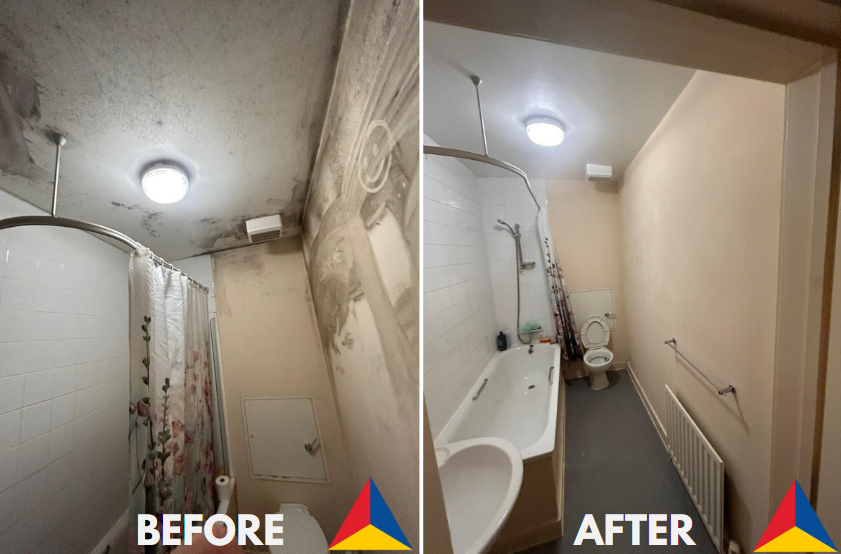 Damp and Mould in Social Housing: Why Action Can’t Be Delayed
