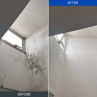 Before and after of mould growth remediated – Awaab’s Law damp and mould compliance.