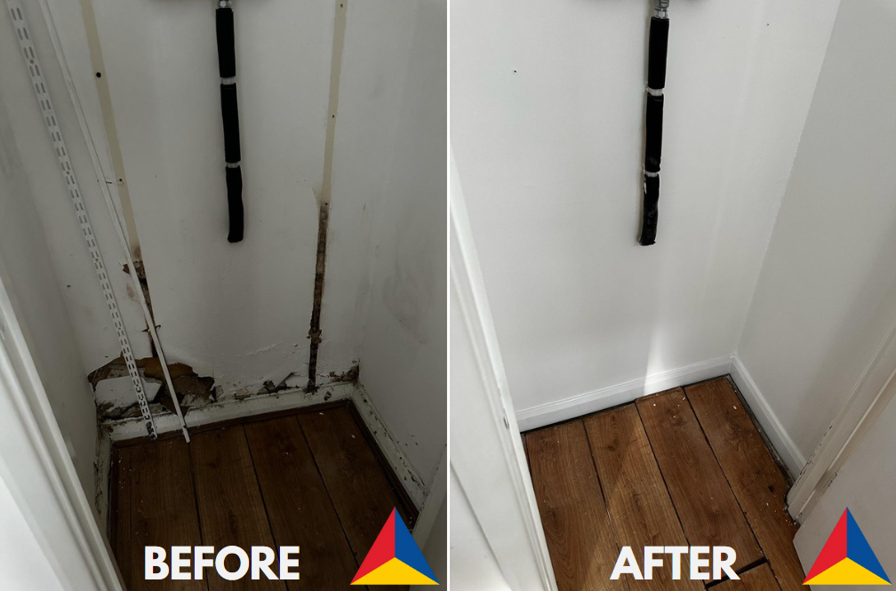 Damp and Mould in Social Housing: Why Action Can’t Be Delayed