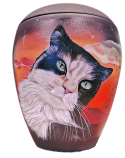 6e94de_ed2169bd12fa419c9cc7113682887f9e~mv2