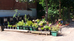 20160719_104410.JPG