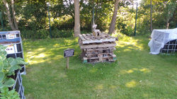 20160719_104236.JPG